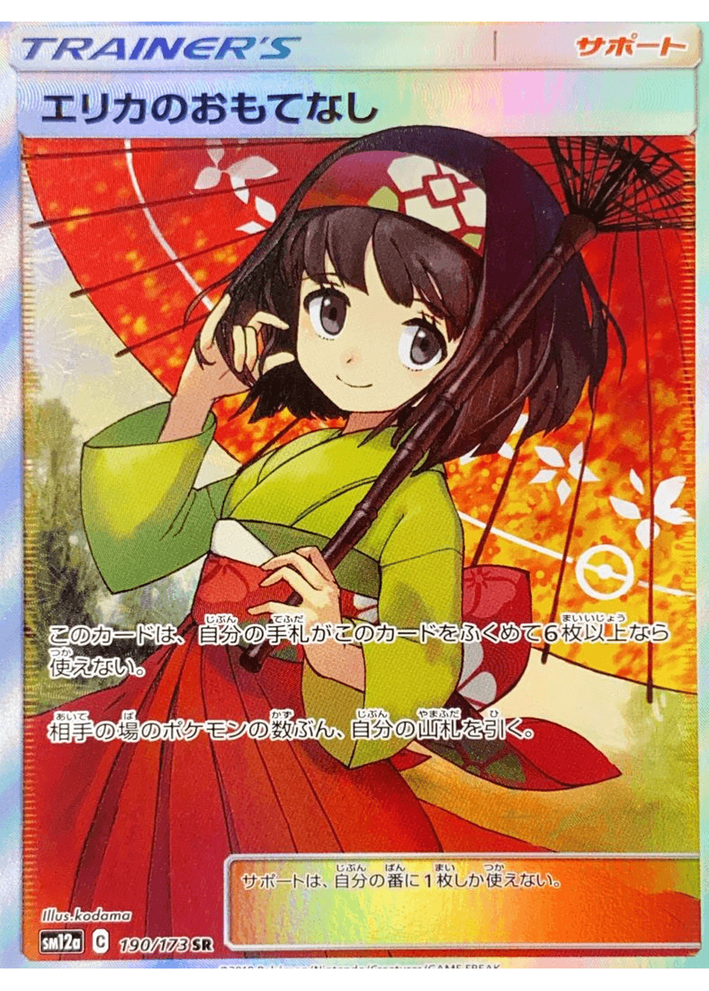 Erika's Hospitality SR