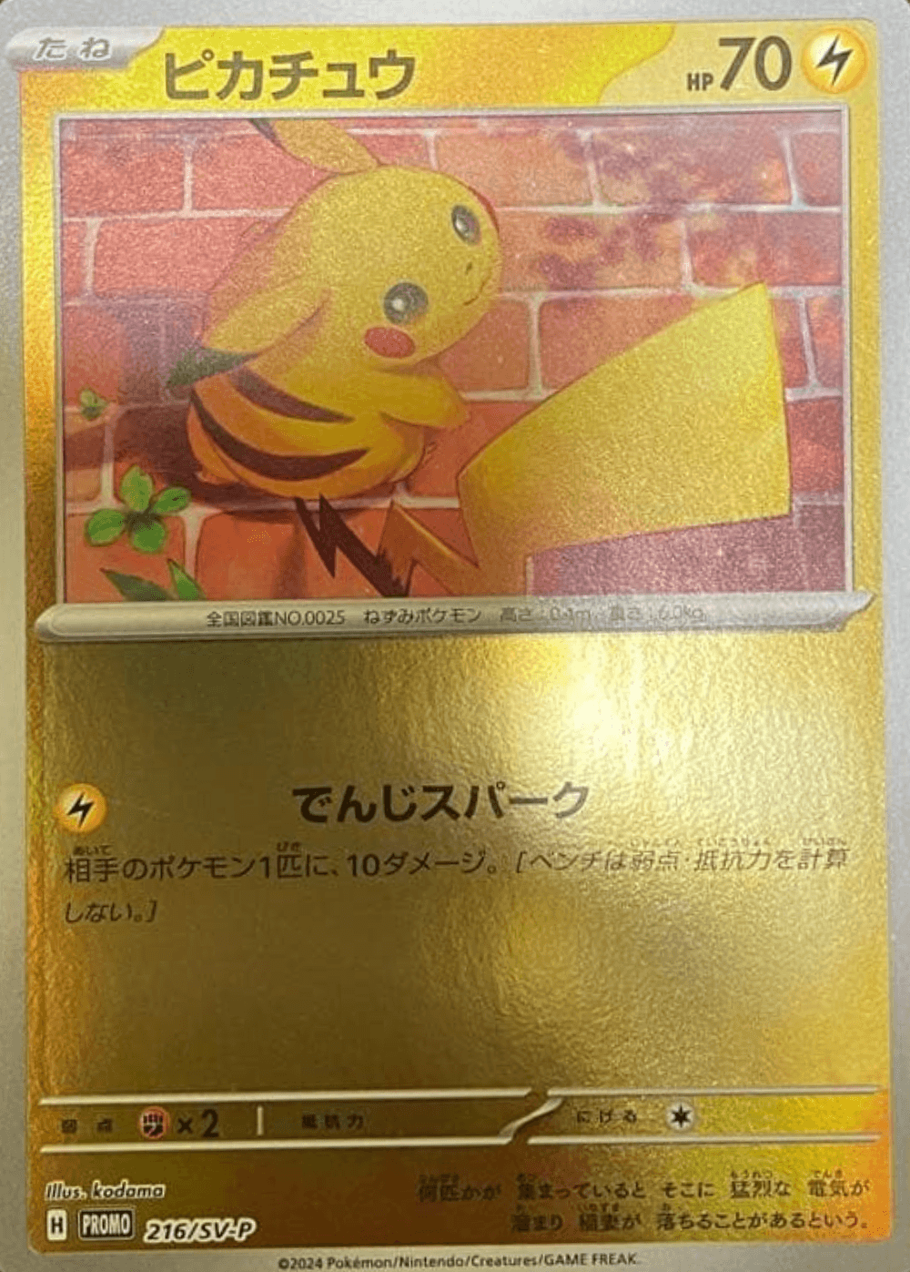 Pikachu Summer Promo