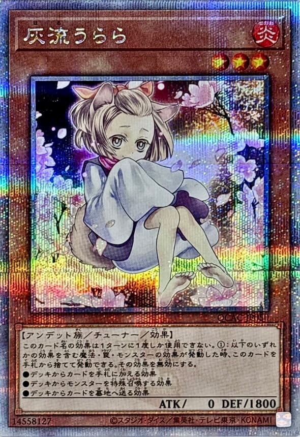 灰流麗(坐姿) QCAC-JP050 25th